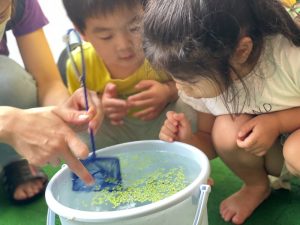 メダカの赤ちゃんが生まれました トゥインクルキッズ保育園 元住吉